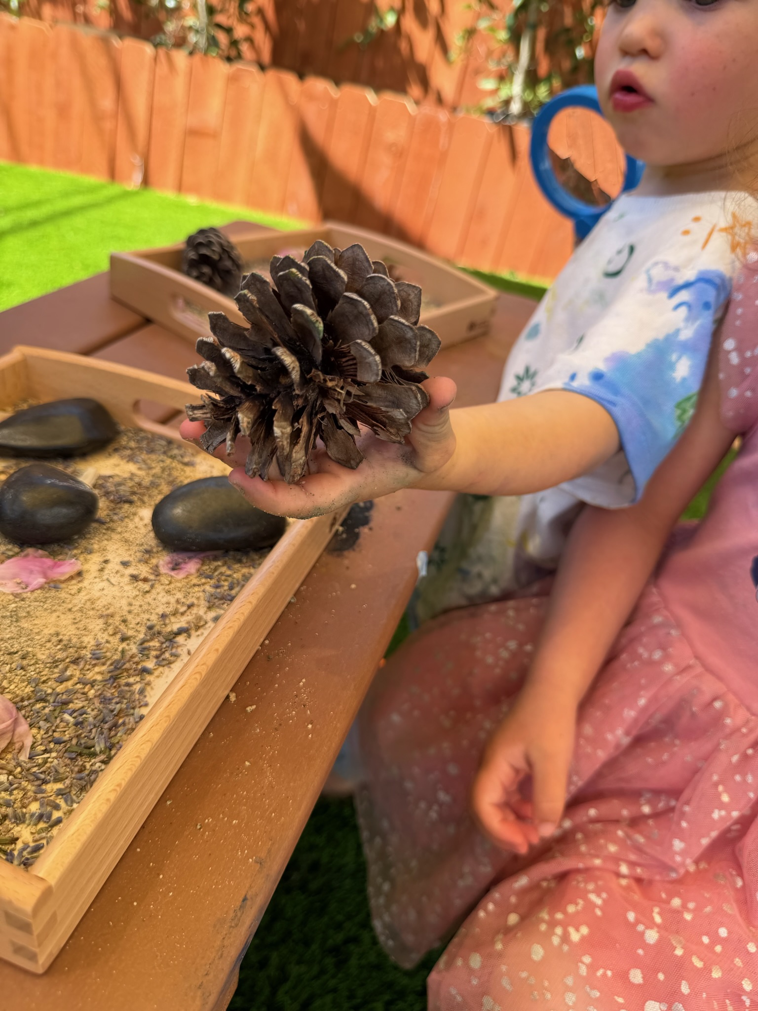 Child holding a pine cone during nature sensory play at Happy Nook outdoor classroom